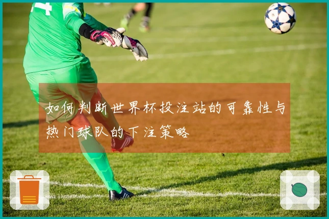 如何判断世界杯投注站的可靠性与热门球队的下注策略