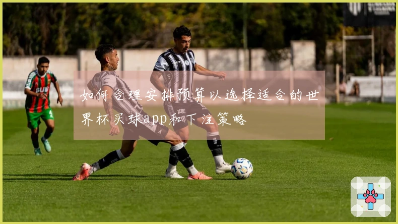 如何合理安排预算以选择适合的世界杯买球app和下注策略