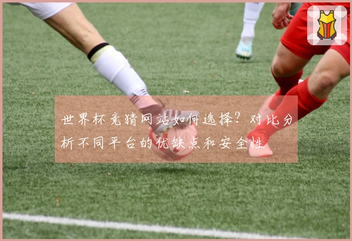 世界杯竞猜网站如何选择?对比分析不同平台的优缺点和安全性