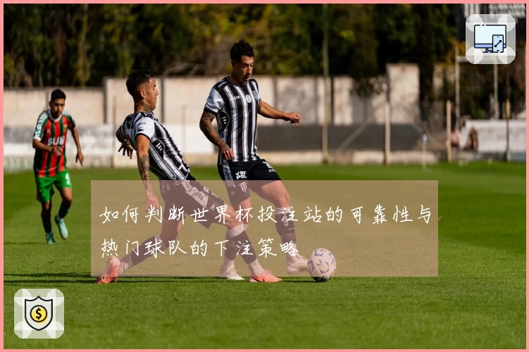 如何判断世界杯投注站的可靠性与热门球队的下注策略