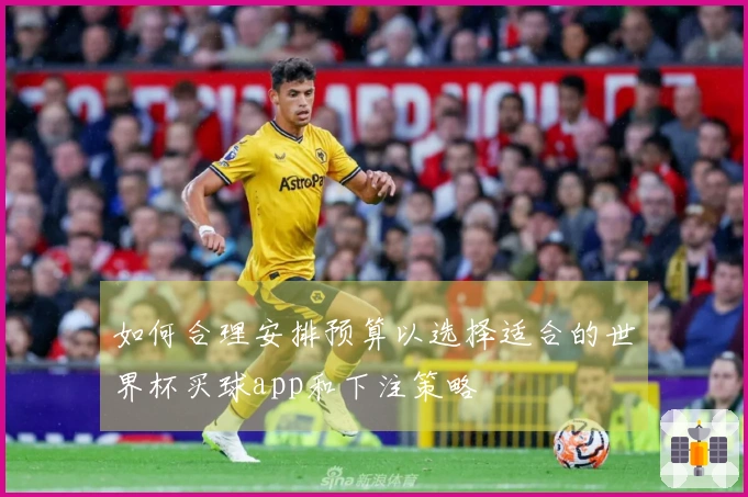 如何合理安排预算以选择适合的世界杯买球app和下注策略